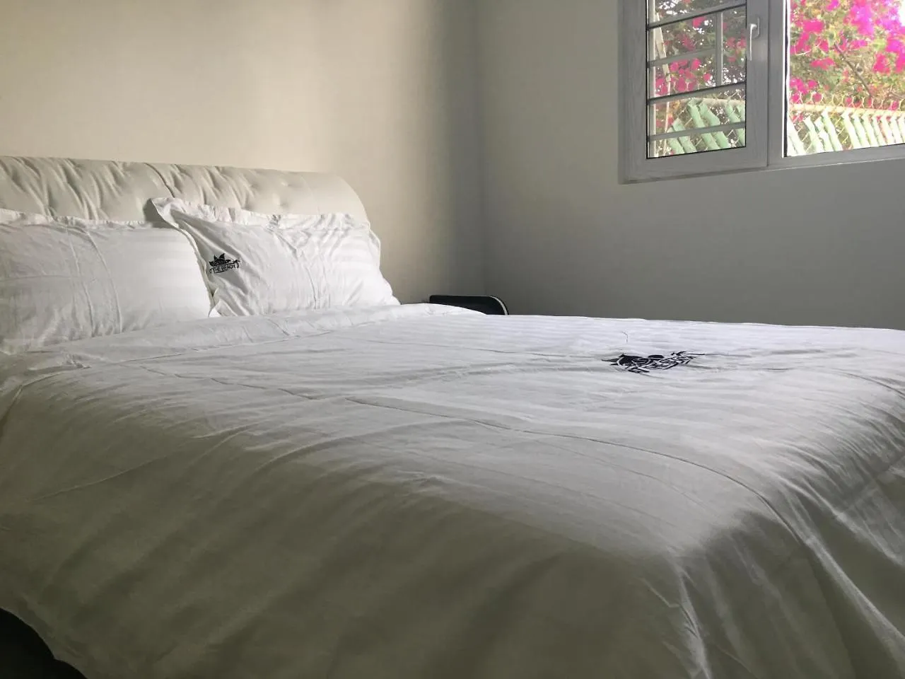 ゲストハウス ホテルBeach House サンジョアン プエルトリコ